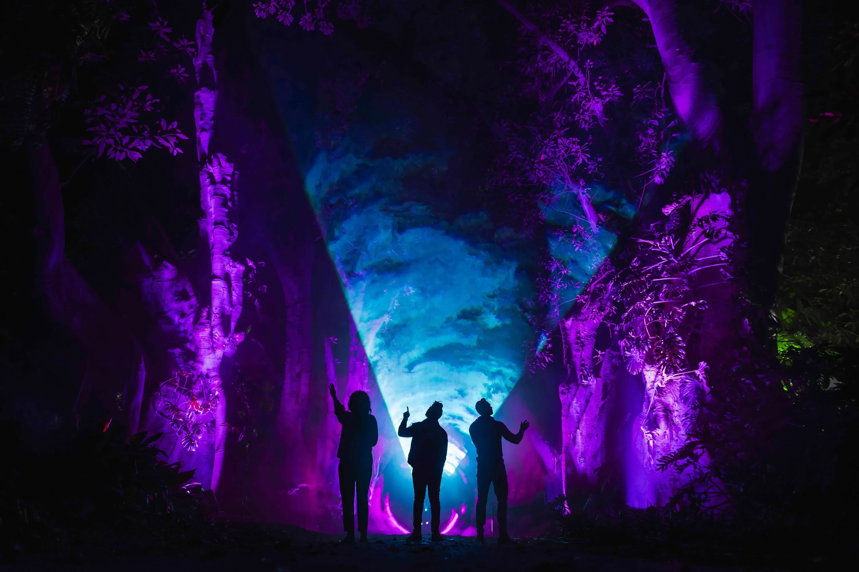 Light installation with purple and blue lights