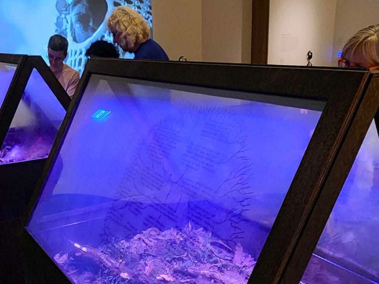 Thinking together: Exchanges with the natural world