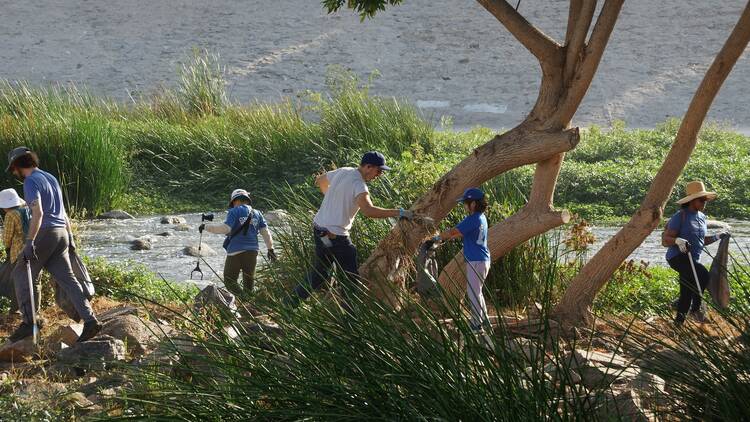 Habitat Restoration Day & Earth Month Celebration