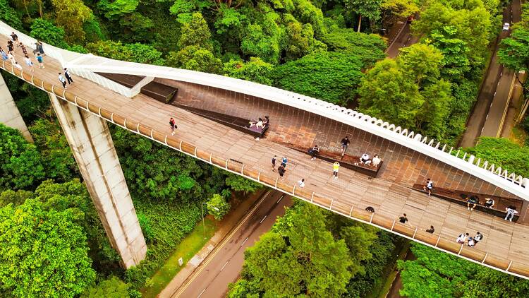 Henderson Waves