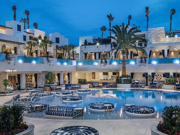 Palms Pool