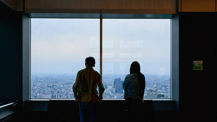 The alternative: the Tokyo Metropolitan Government Building
