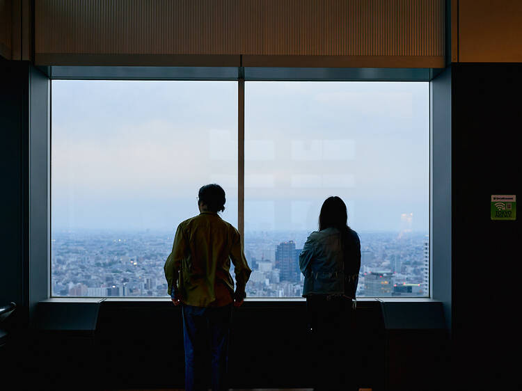 The alternative: the Tokyo Metropolitan Government Building
