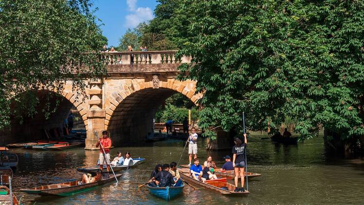View of a serene summer day at Oxford Botanic Garden: Boating on the lake amindst lush greenery.