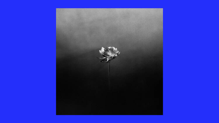 ‘Free’  – Little Simz 