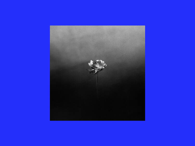 ‘Free’  – Little Simz 