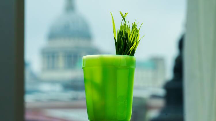 A bright green tumbler sits on a bronze table with St Paul’s Cathedral visible in the background