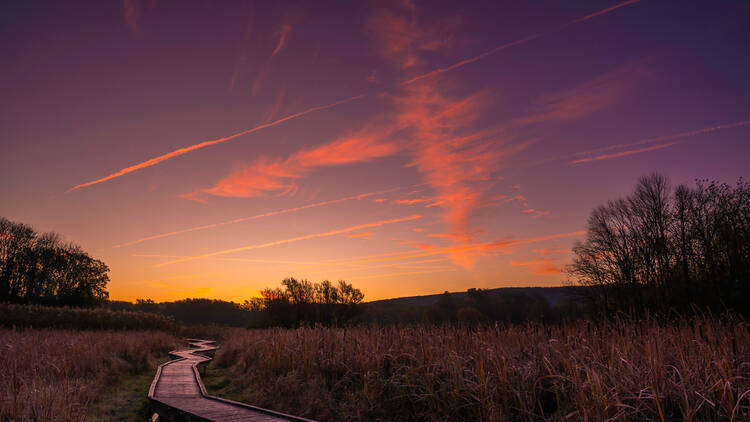 Stairway to Heaven Trail