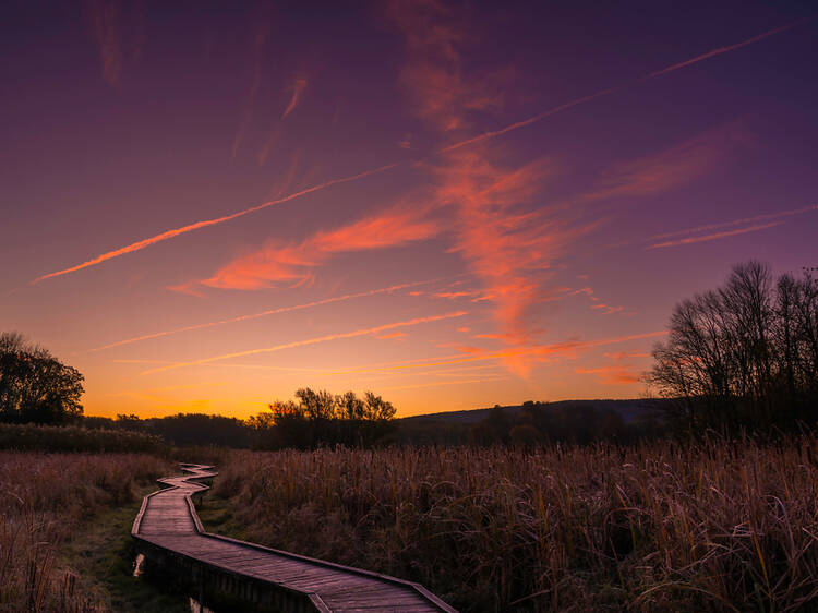 Stairway to Heaven Trail