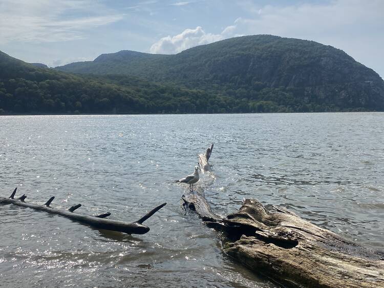 Arden Point and Glenclyffe