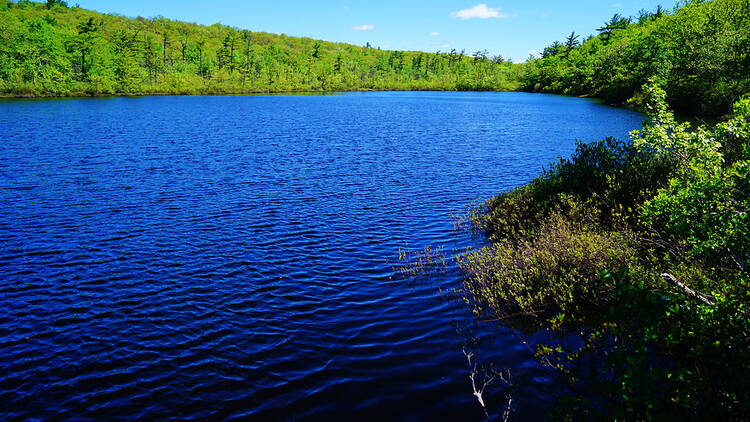 Surprise Lake Loop
