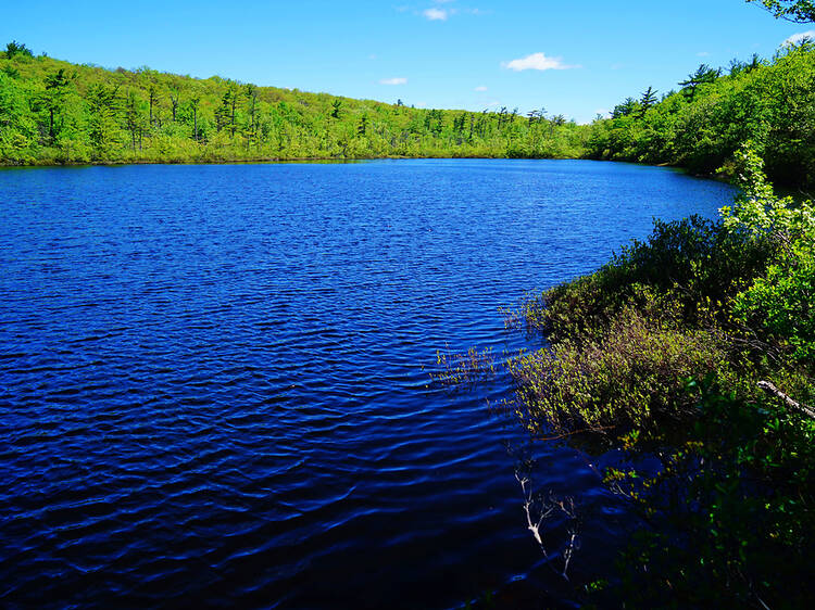 Surprise Lake Loop