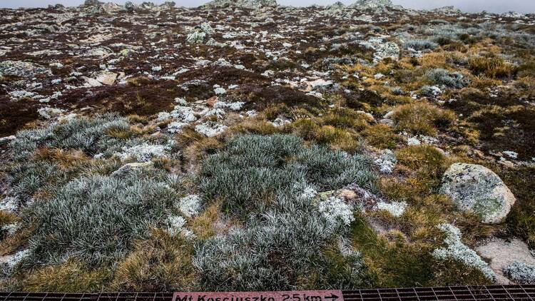 Mount Kosciuszko Summit Walk, NSW
