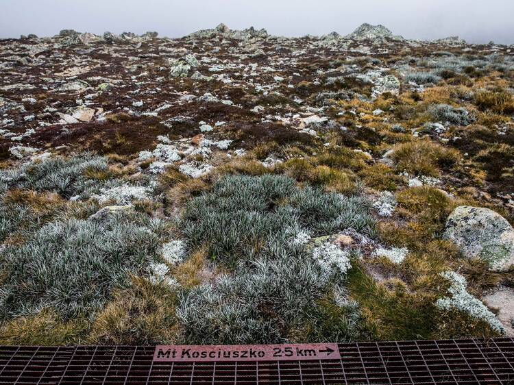 Mount Kosciuszko Summit Walk, NSW