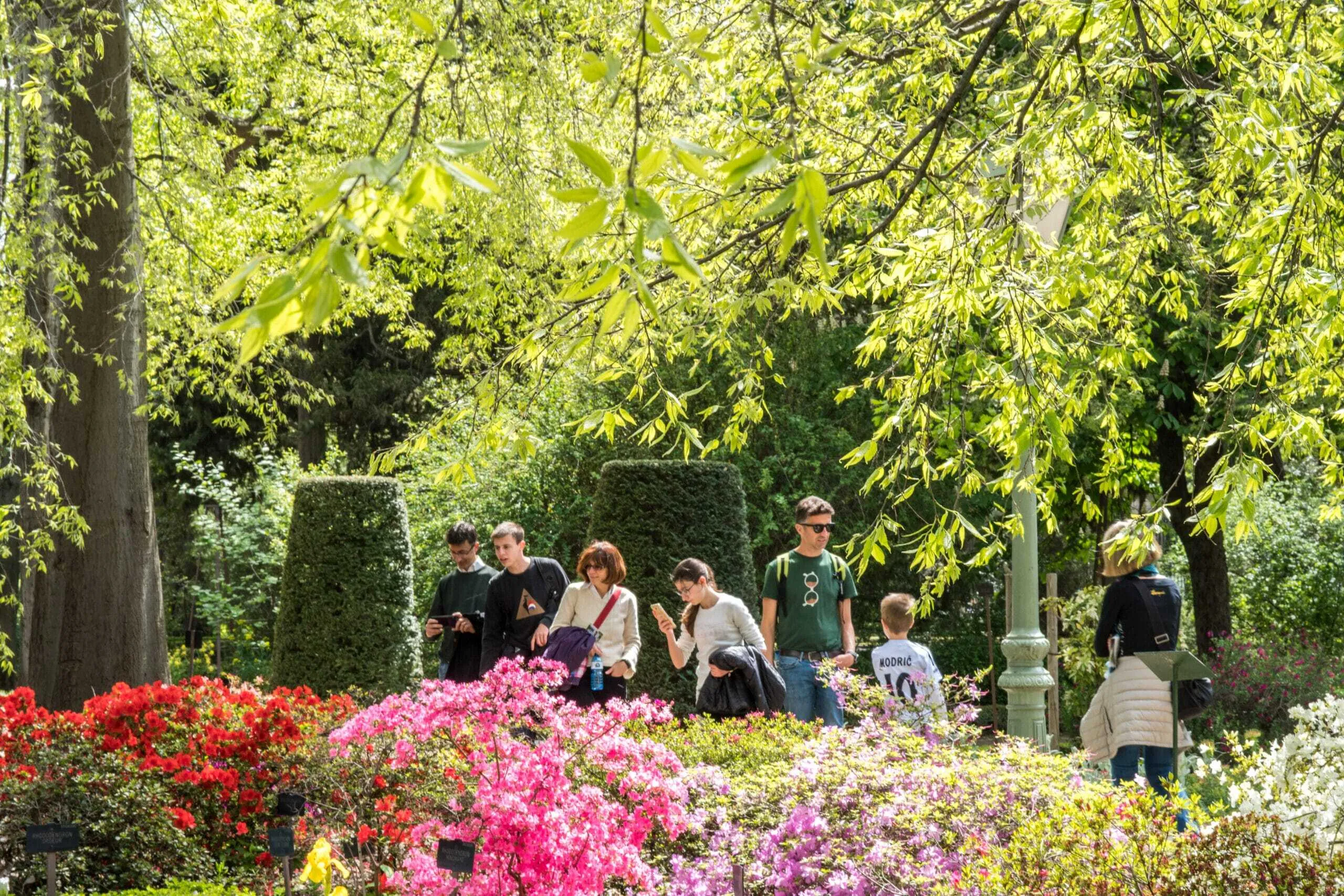 Real Jardín Botánico