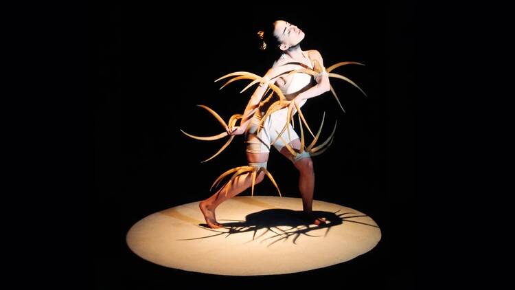 Explorar el programa de Madrid en Danza