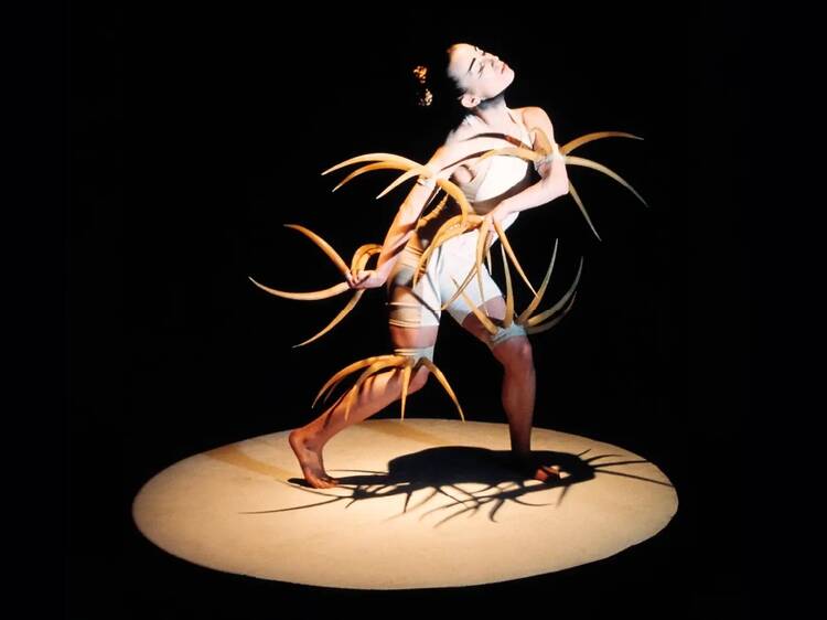 Explorar el programa de Madrid en Danza