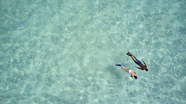 Discover the underwater wonders of Bight Beach