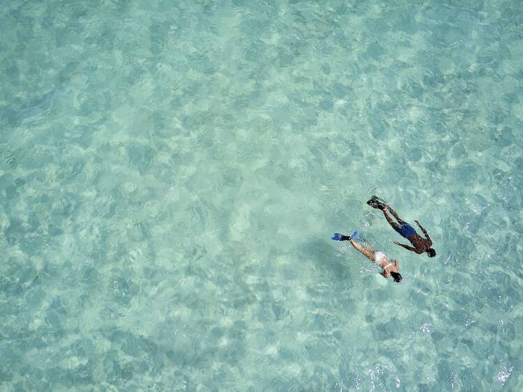 Discover the underwater wonders of Bight Beach