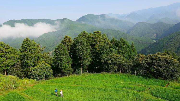 The Nakahechi Route, Kumano Kodo, Japan