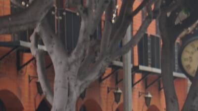 Let’s Go Glendale Attendees at an open streets event in Los Angeles.