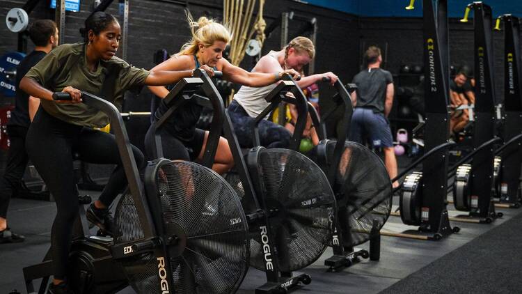 Three women using a line of elliptical bikes while other gym users exercise in the background