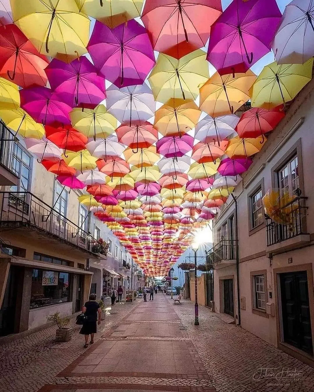 Projecto de comerciantes para a Rua do Benformoso