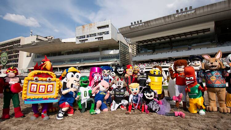 Carrera de Botargas por menos de $50: cuándo y a qué hora será 2026