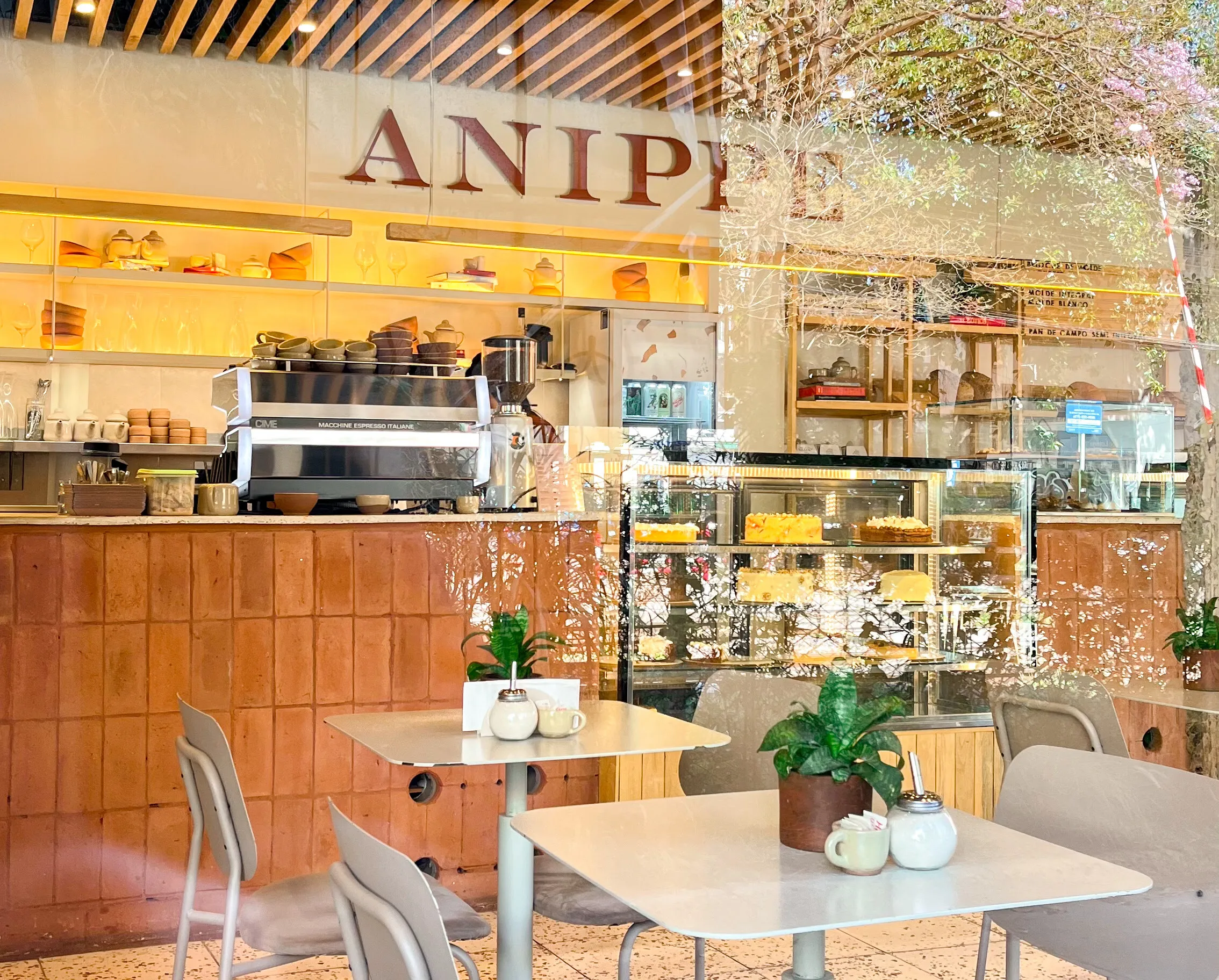 anippe