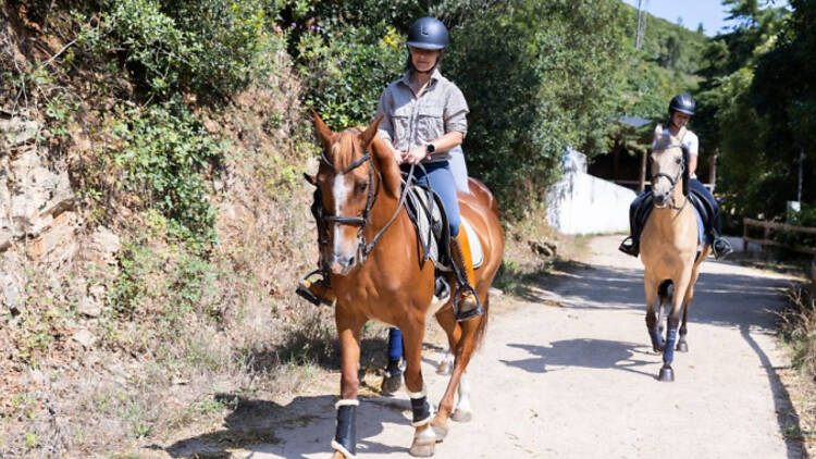 Celebrar o Dia da Mãe com uma experiência equestre