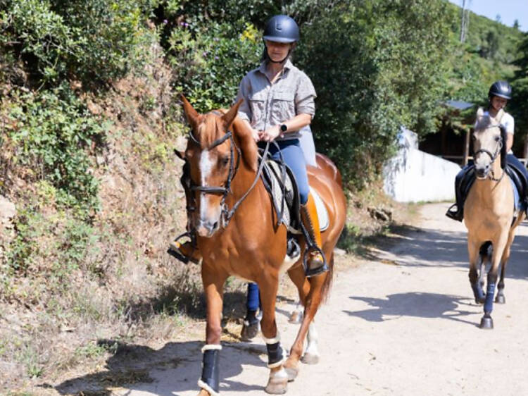 Celebrar o Dia da Mãe com uma experiência equestre