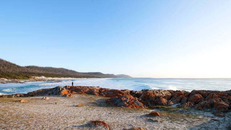 Friendly Beaches Campground (Isaacs Point), TAS