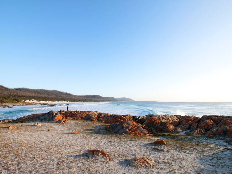 Friendly Beaches Campground (Isaacs Point), TAS