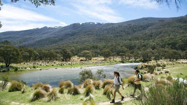 Thredbo Diggings Campground, NSW