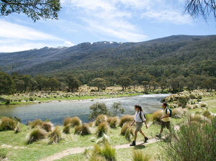 Thredbo Diggings Campground, NSW