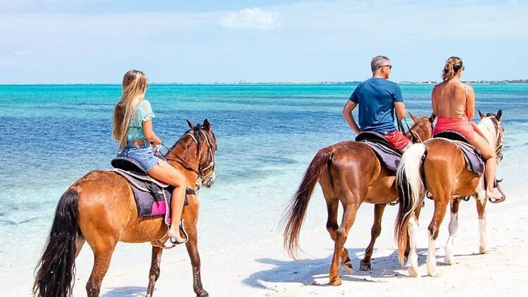 Go for a horseback ride by the sea Go for a horseback ride by the sea