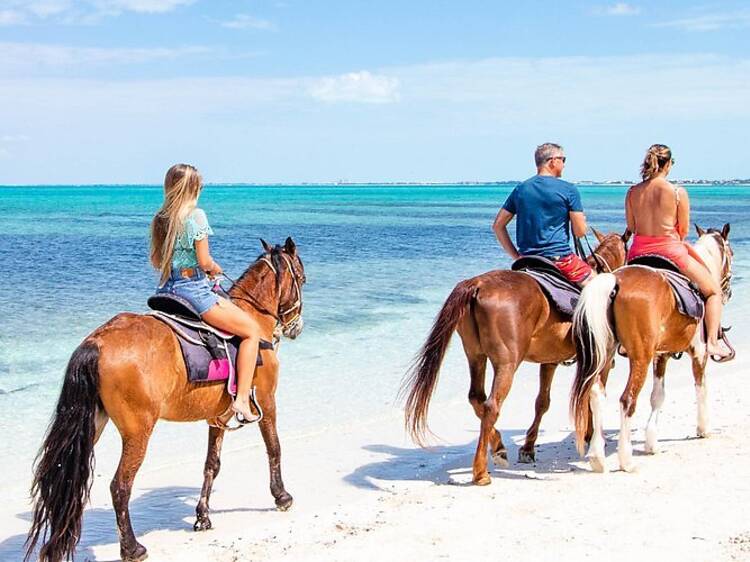 Go for a horseback ride by the sea Go for a horseback ride by the sea