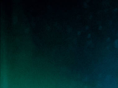 The Extraordinary Miss Flower The Extraordinary Miss Flower