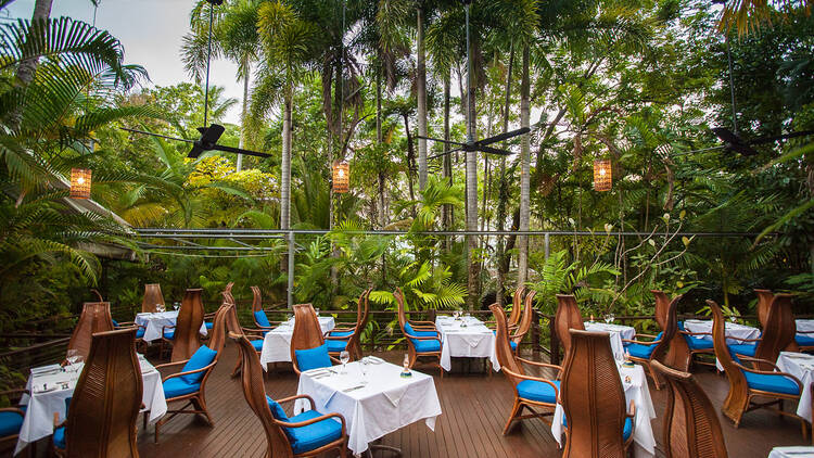 Nautilus, Port Douglas
