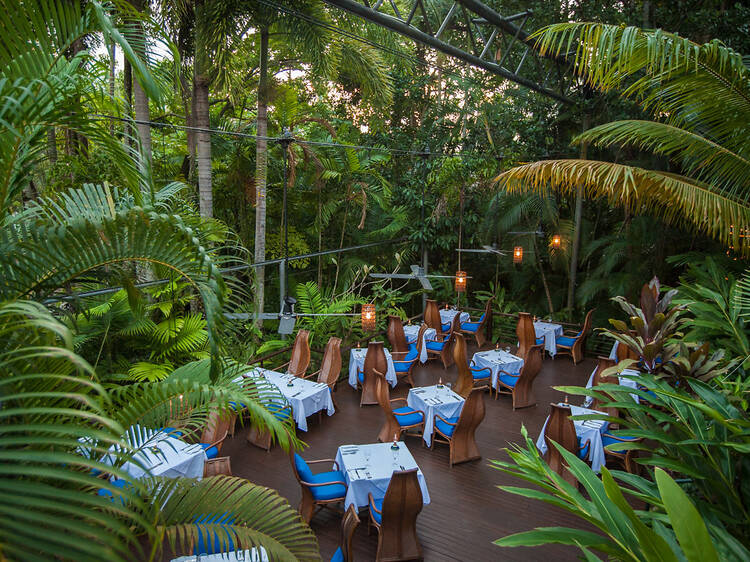 Outdoor seating under rainforest canopy