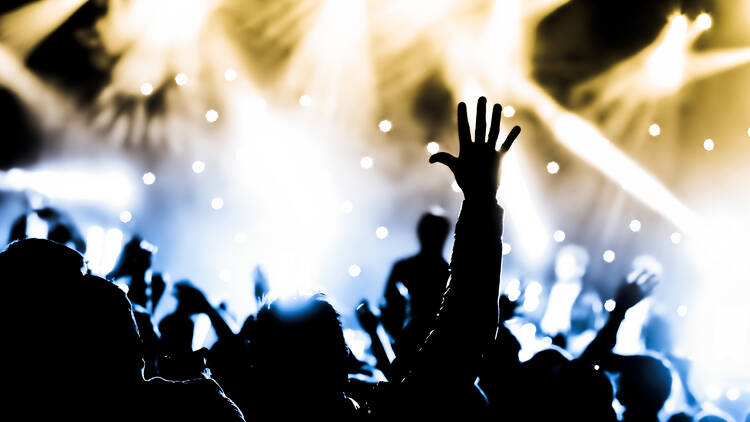Photograph: Shutterstock