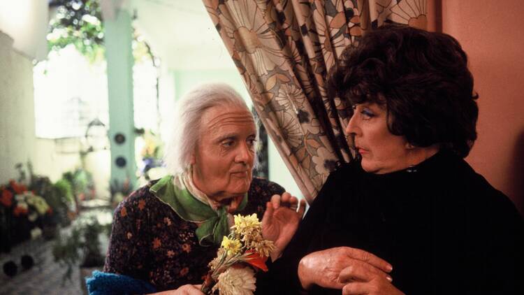 Celebrate the 40th anniversary of a classic of Argentine cinema
