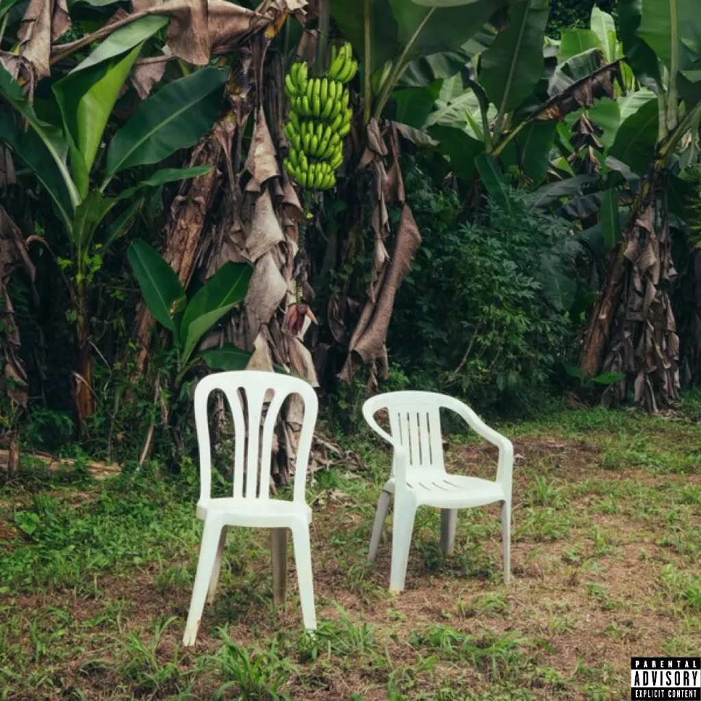 Portada del álbum Debí Tirar Más Fotos (2025)