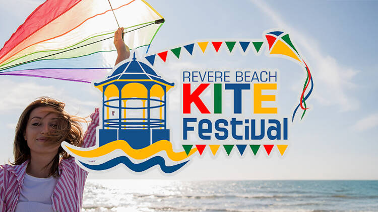 girl holding a kite girl holding a kite