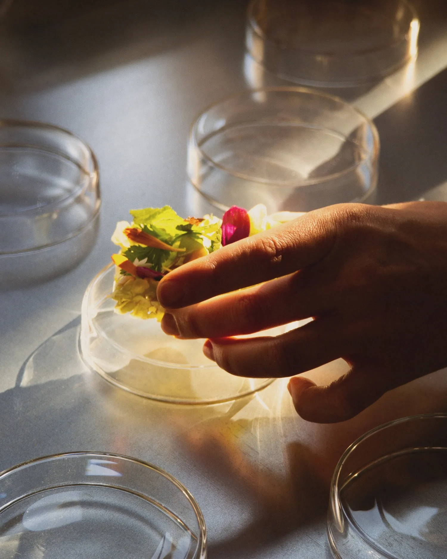 Time Out Food & Drink Awards 2025