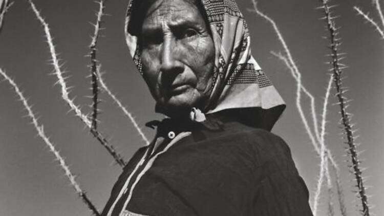 Desierto de Sonora, Graciela Iturbide