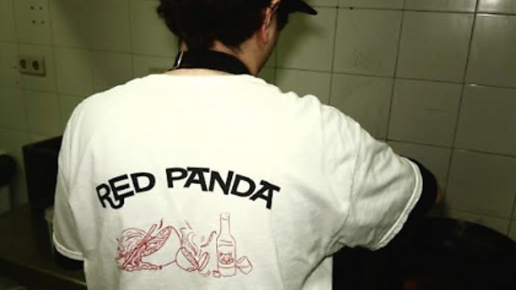 Red Panda