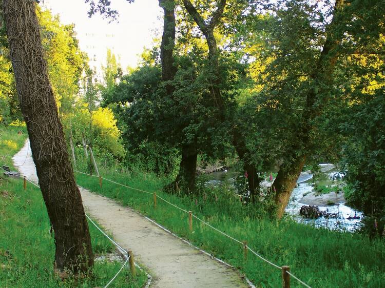 Parque Urbano dos Amores