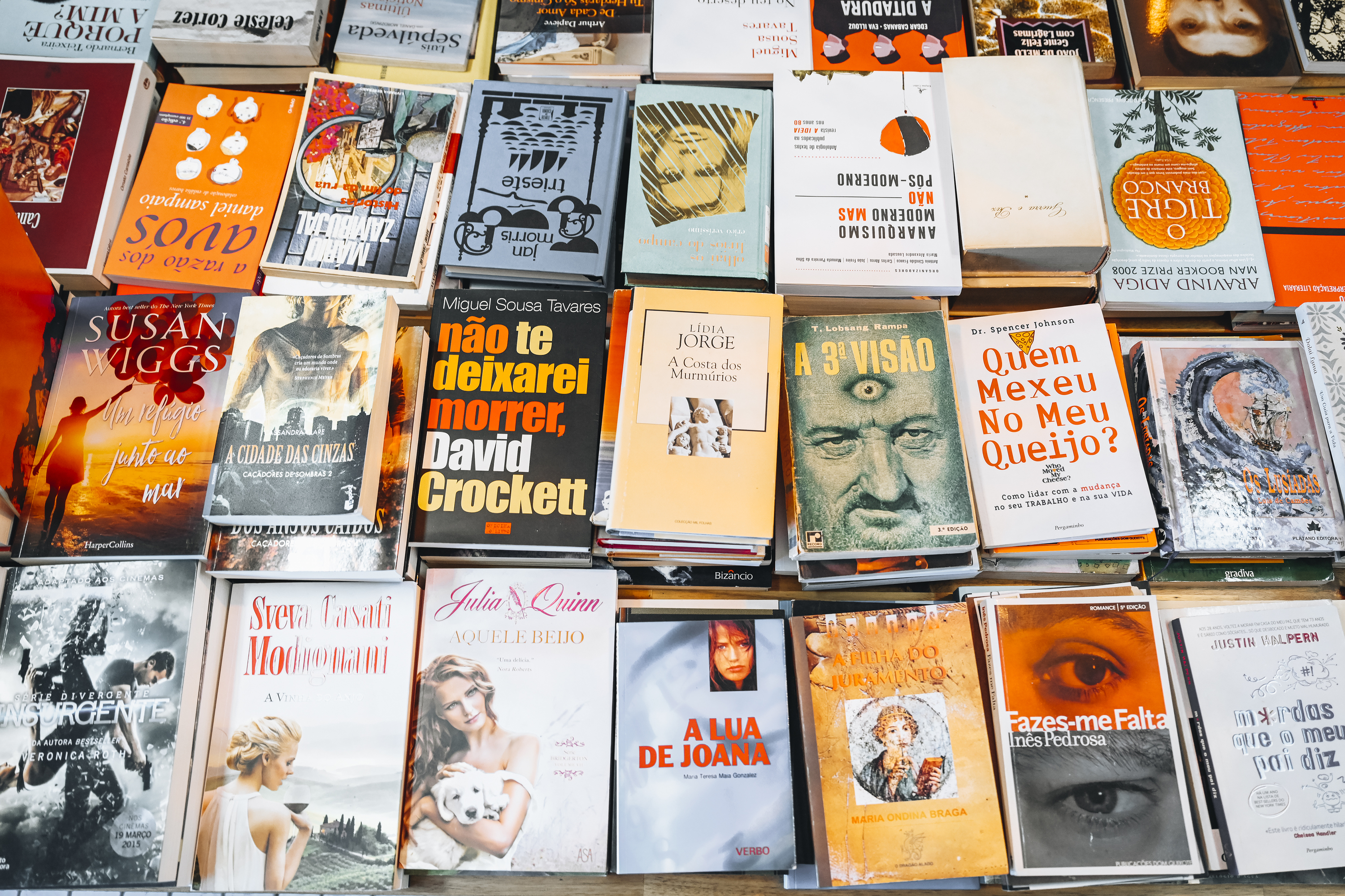 Ecolivros