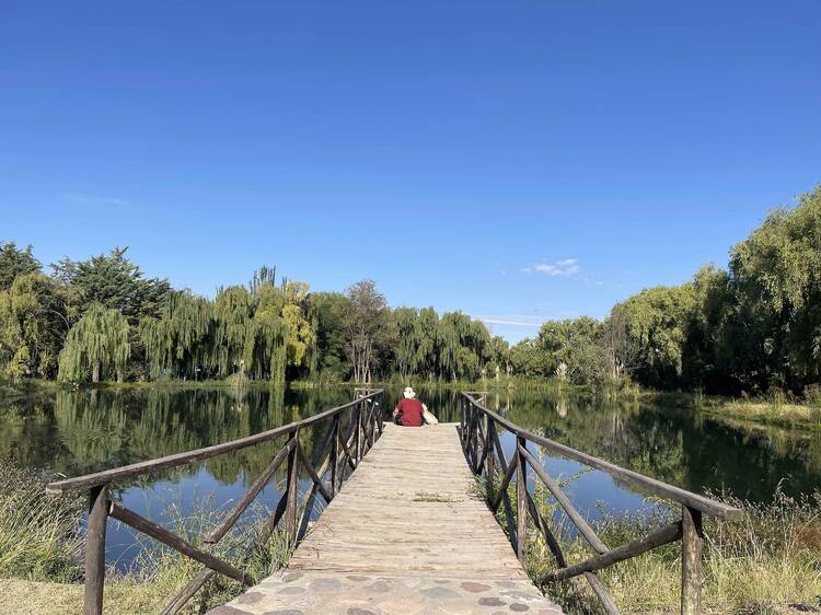 laguna-criadero